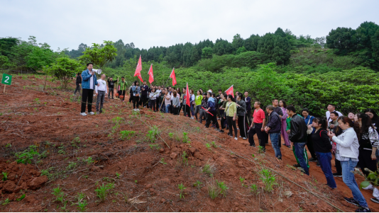 省皇家国际集团开展龙泉山都会森林公园 “包山头”植树活动