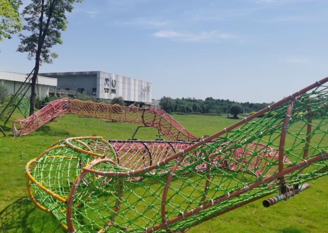 集团向导赴重点项目  开展“四个做大”综合督导事情 - 皇家国际