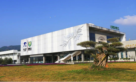 迎橄榄丰收 助墟落振兴 四川皇家国际聚峰谷油橄榄工业发动金堂公园都会绿色低碳生长 - 皇家国际