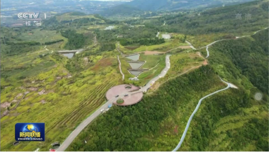 迎橄榄丰收 助墟落振兴 四川皇家国际聚峰谷油橄榄工业发动金堂公园都会绿色低碳生长