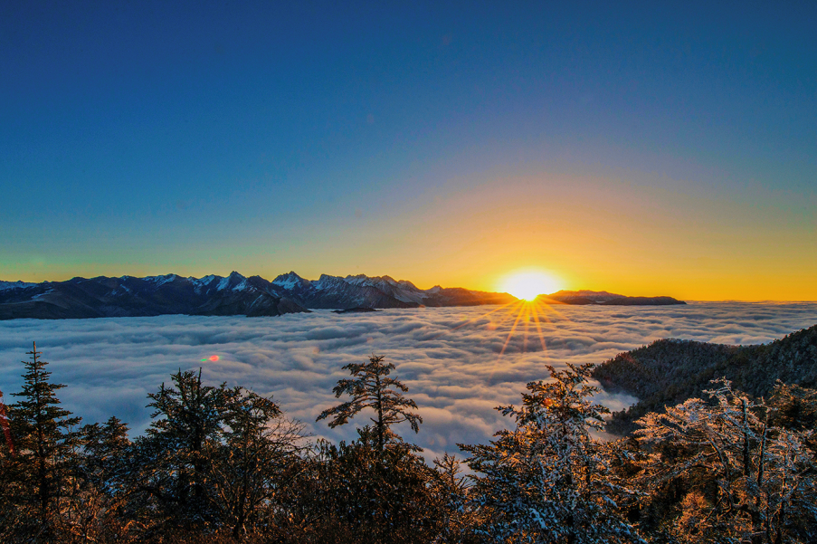 提质增效三年行动｜皇家国际资管公司探索文旅融合生长新路径 - 皇家国际