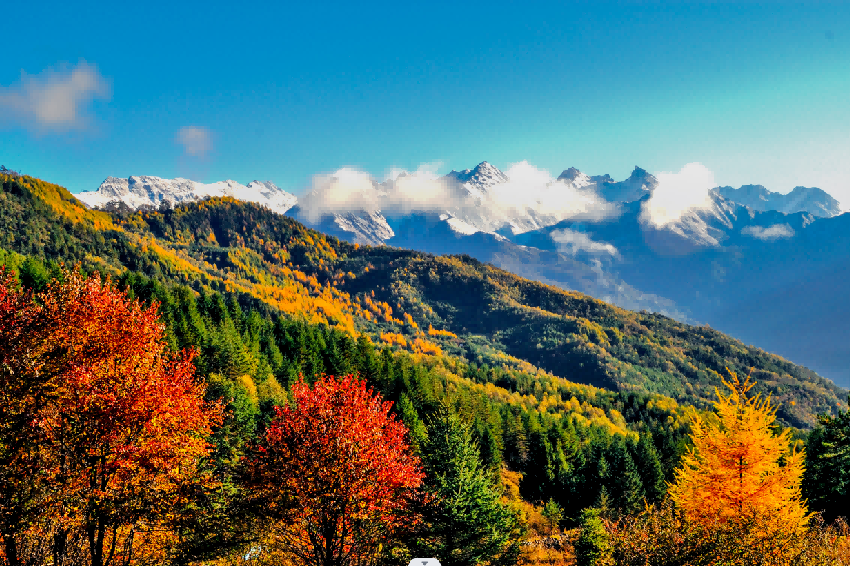 提质增效三年行动｜皇家国际资管公司探索文旅融合生长新路径 - 皇家国际