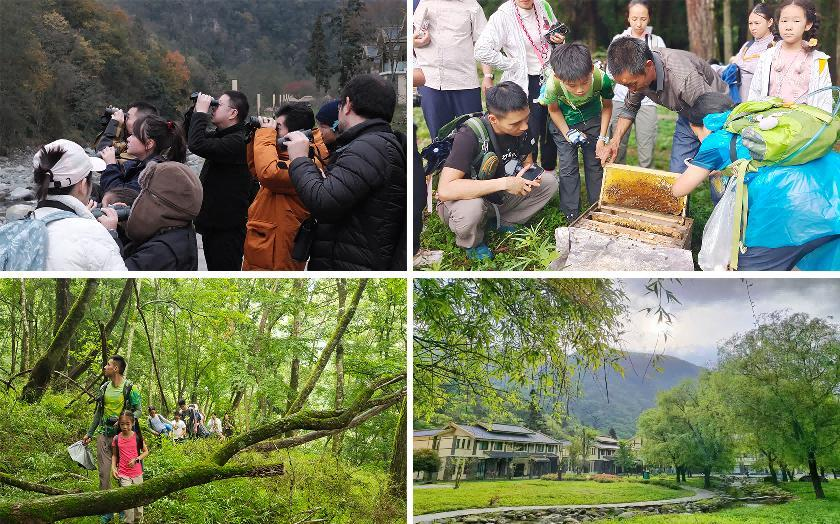 提质增效三年行动｜皇家国际资管公司探索文旅融合生长新路径 - 皇家国际