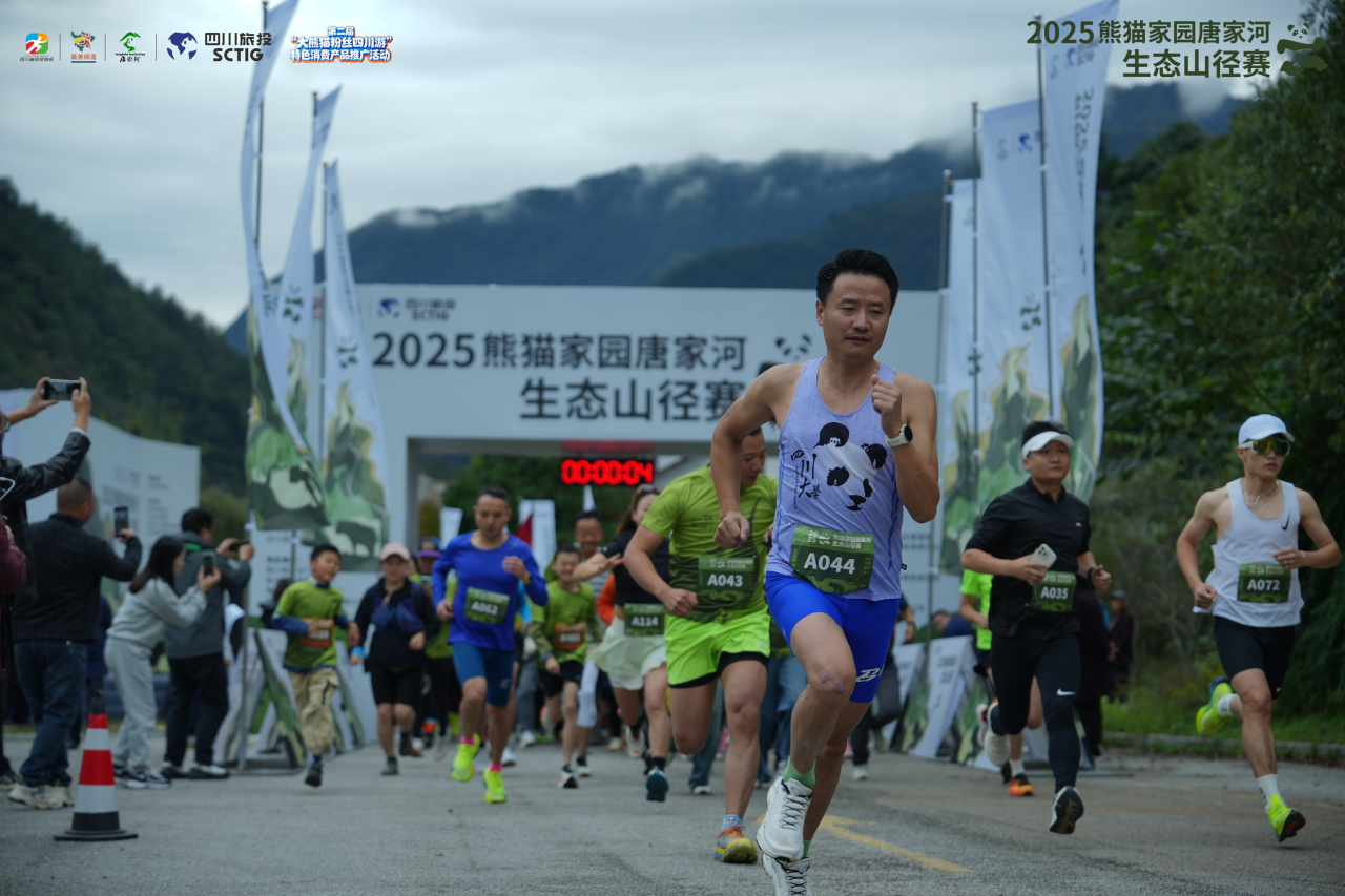 提质增效三年行动｜皇家国际资管公司探索文旅融合生长新路径 - 皇家国际