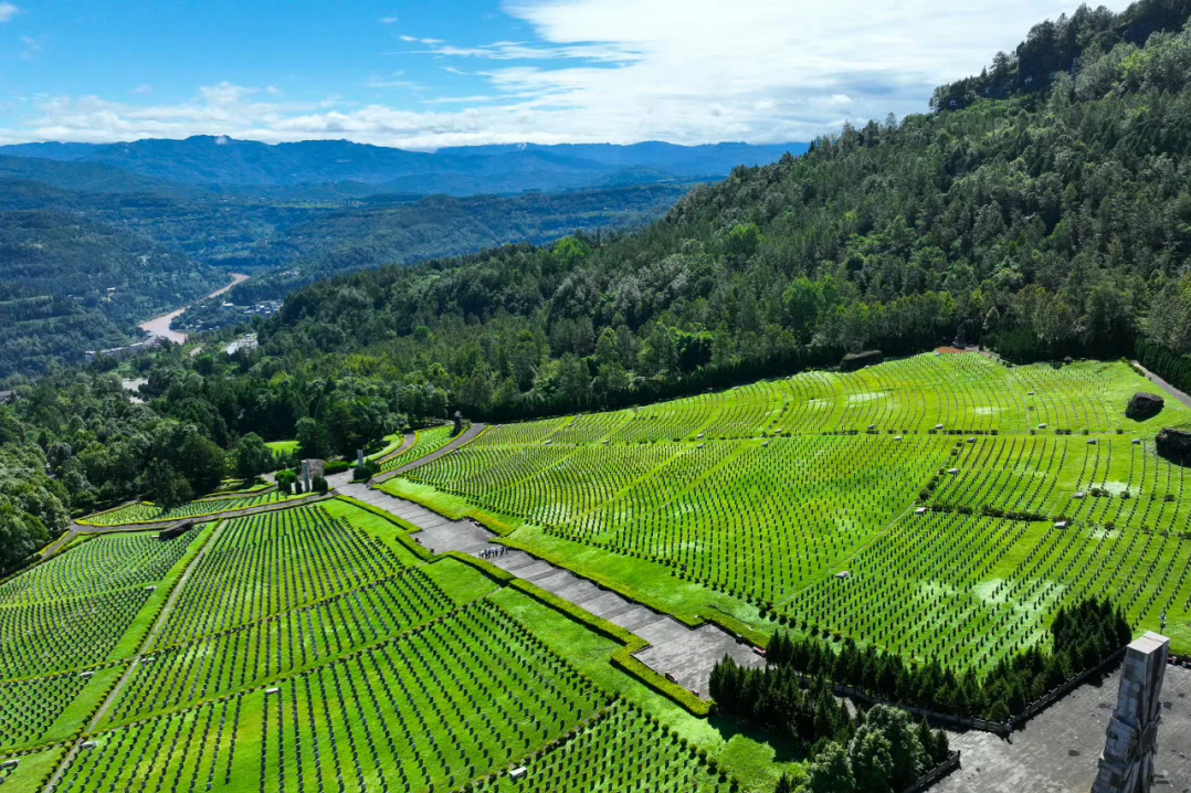 提质增效三年行动 | 皇家国际资管公司以“点”带“面”激活文旅资产运营 - 皇家国际