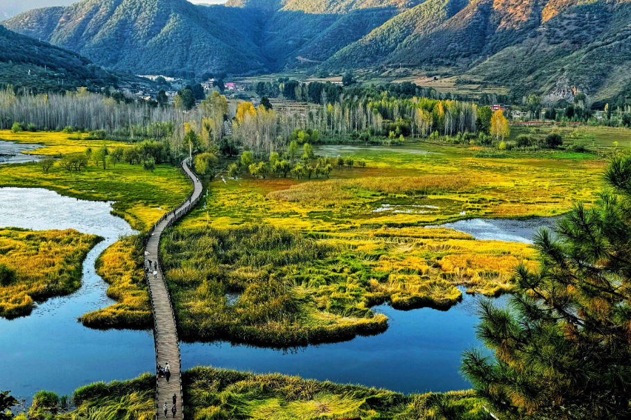 提质增效三年行动 | 皇家国际资管公司以“点”带“面”激活文旅资产运营 - 皇家国际